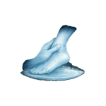 Massage-relaxant-des-pieds